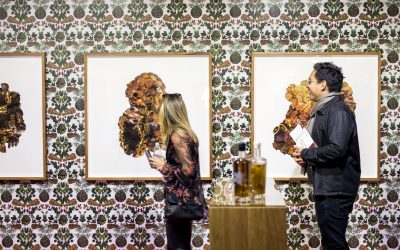 Melbourne Art Fair 2018 Tolarno Galleries